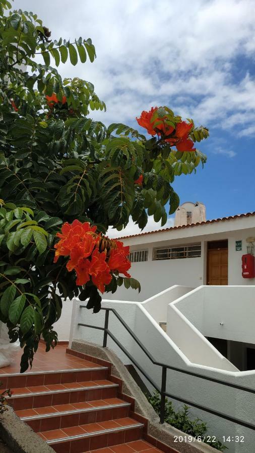 Club El Paradero Playa de las Américas Eksteriør billede