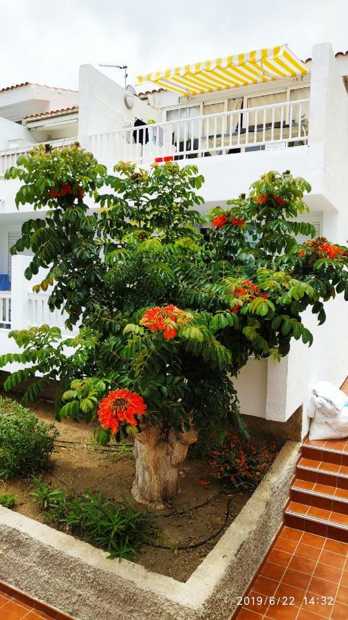 Club El Paradero Playa de las Américas Eksteriør billede